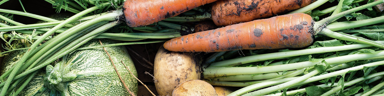 fresh vegetables